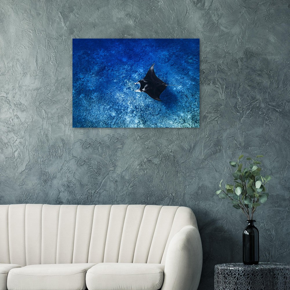 94f52896-1f5c-418e-ba95-0a905659318c