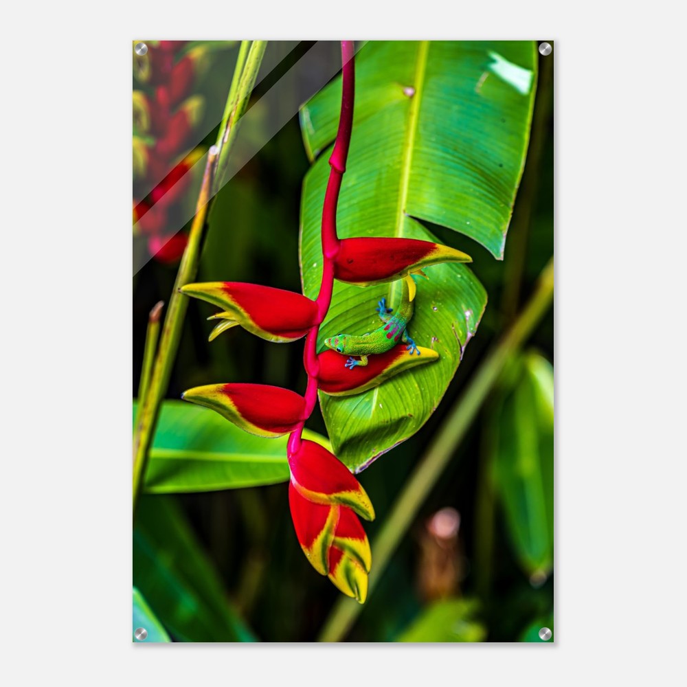 967b1e49-2afd-4331-b8df-c49e5d082afc