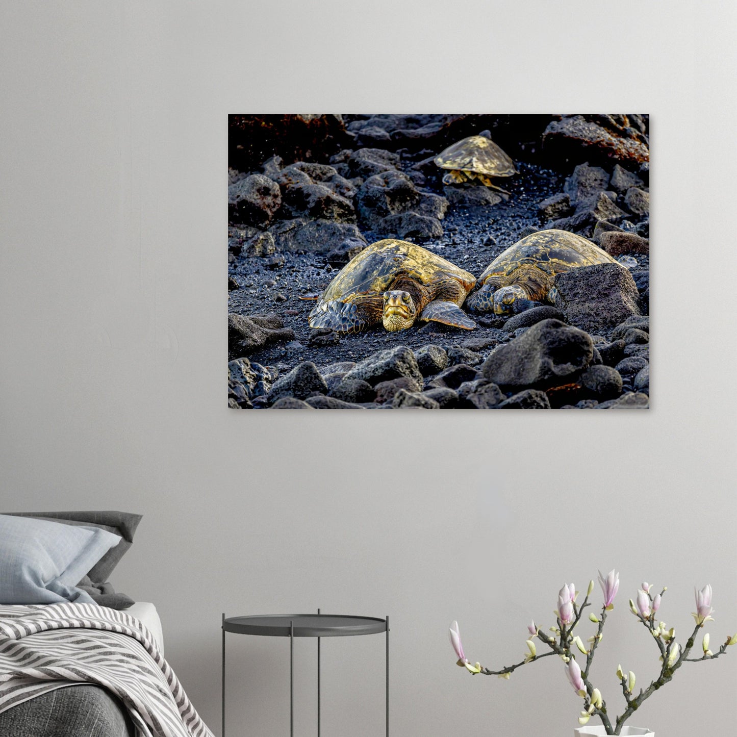 97e9f499-a755-487e-90fc-9a3b2305adcd