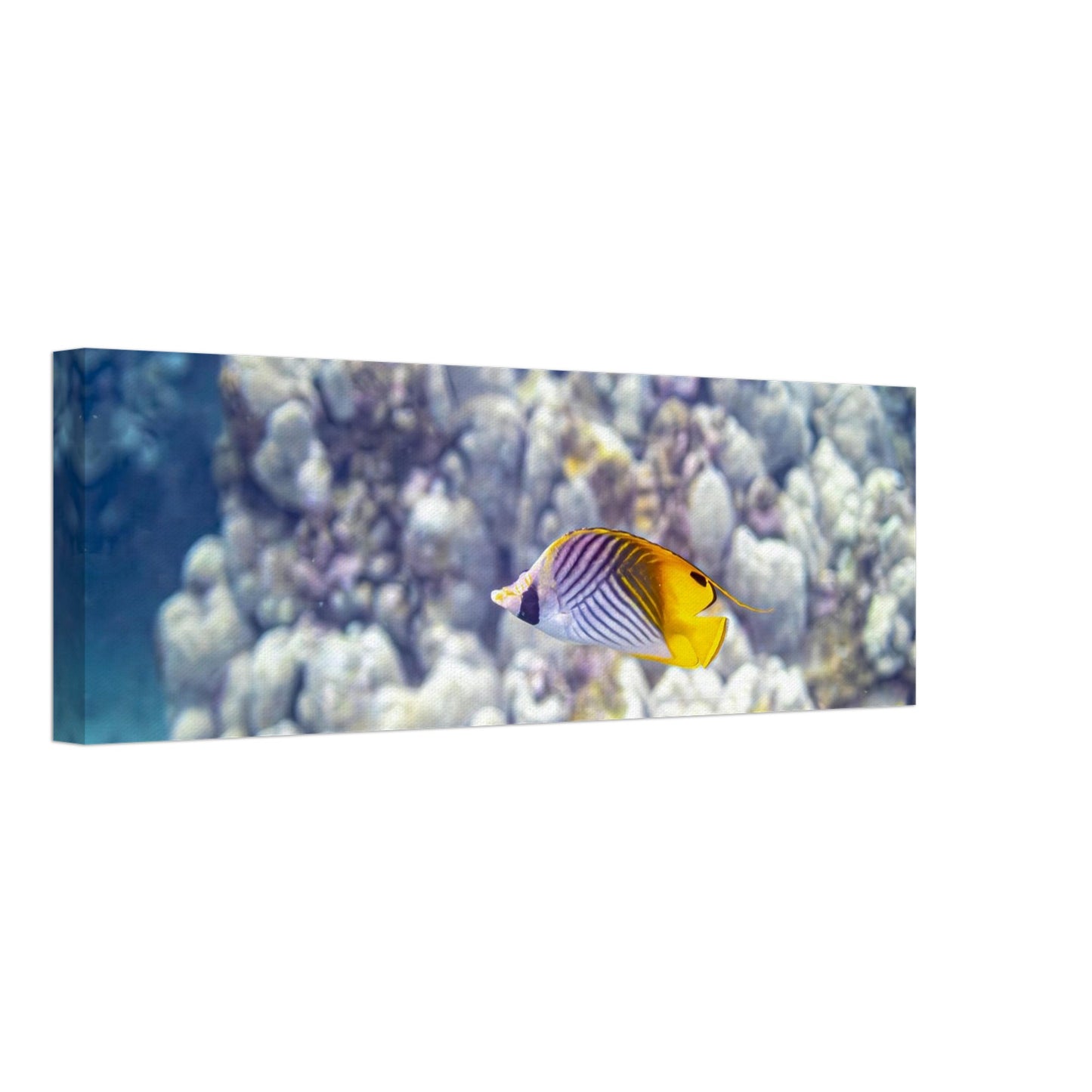 984965b9-3d5c-474a-8701-9f990330da6f