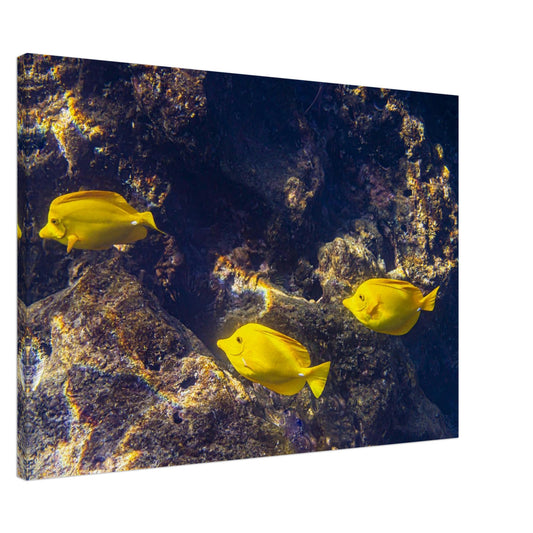 990d5f80-dac2-4c96-bac9-bb793817a511