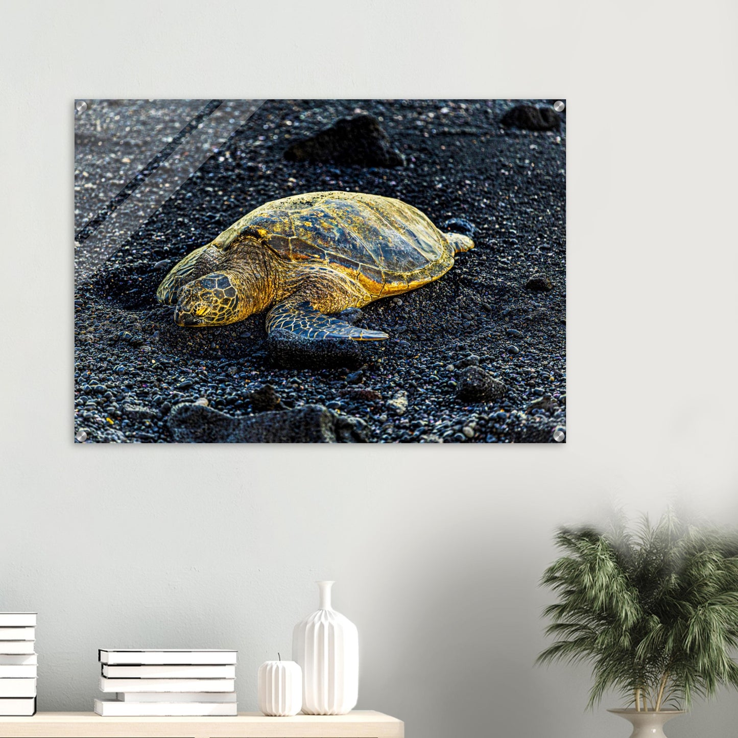 99c8242c-0946-4844-ae33-8fced1627947