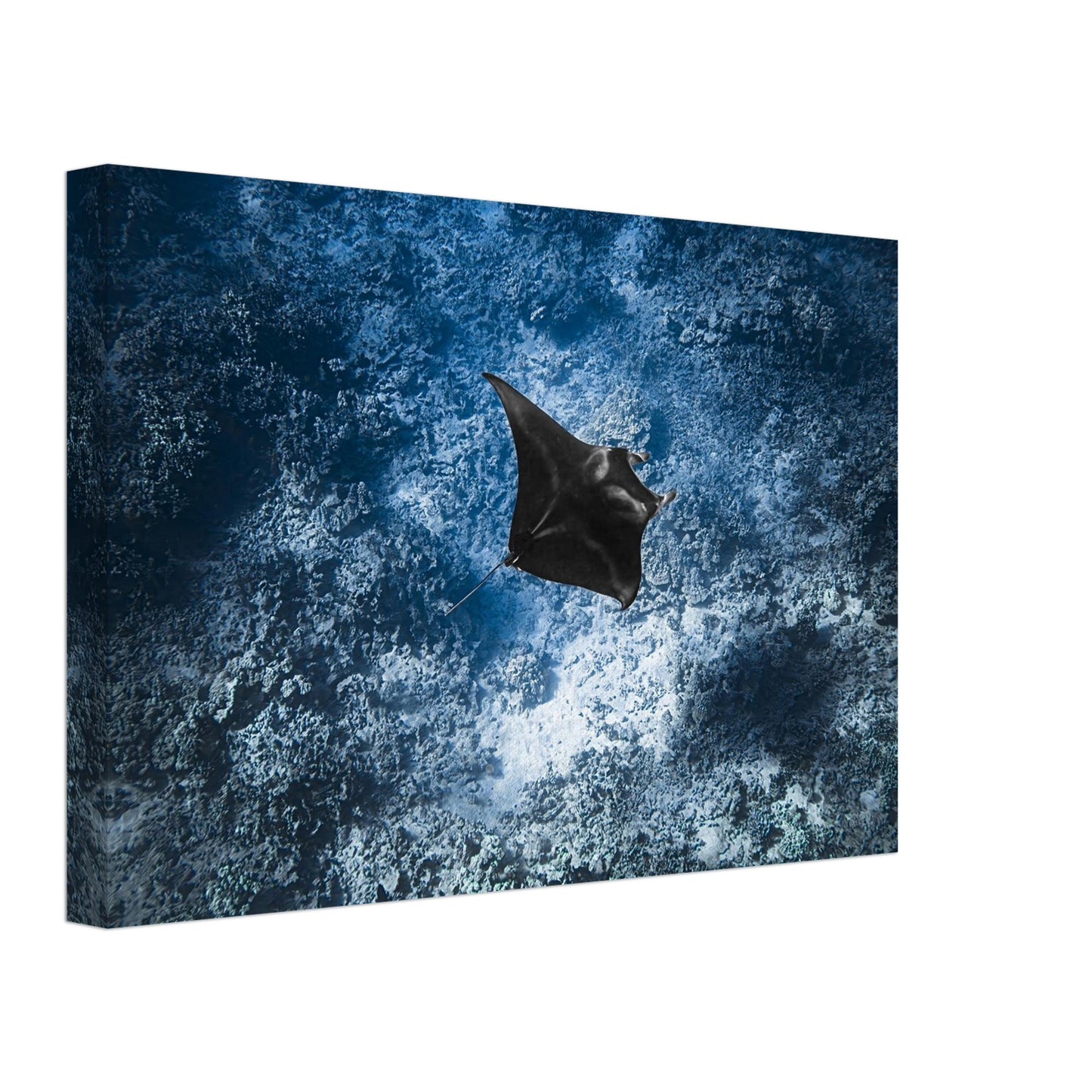 99eba45d-3500-44e0-863c-9fe4ebc4dc28