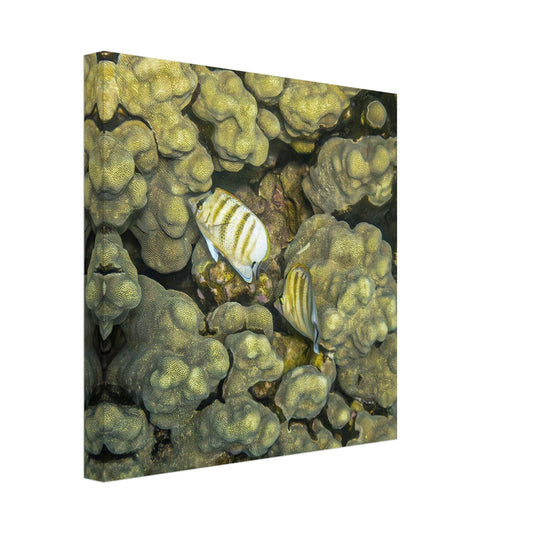 9a790f41-a1d1-4efb-9171-d325999abcd8