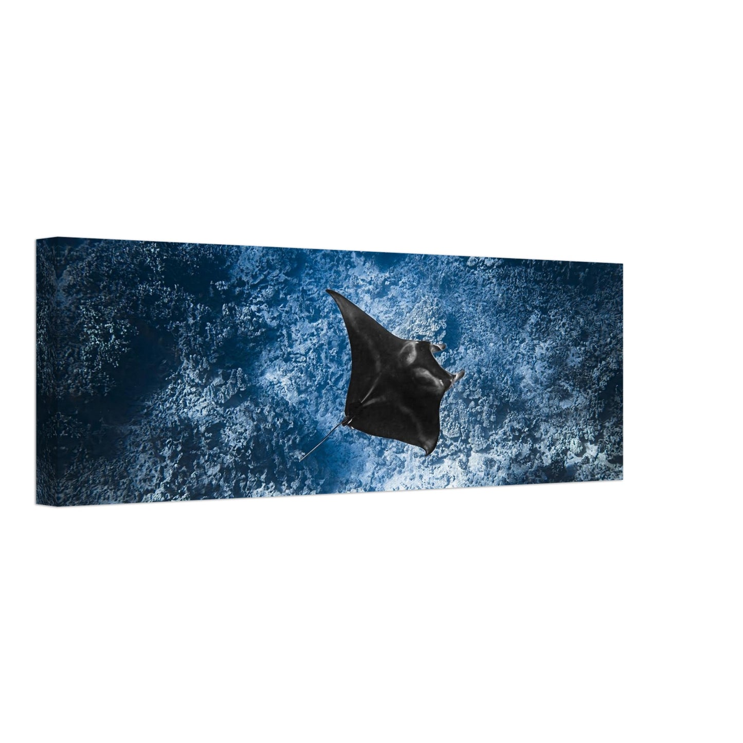 9aab2a12-f2f6-449c-83cf-0e9ef5d1a802