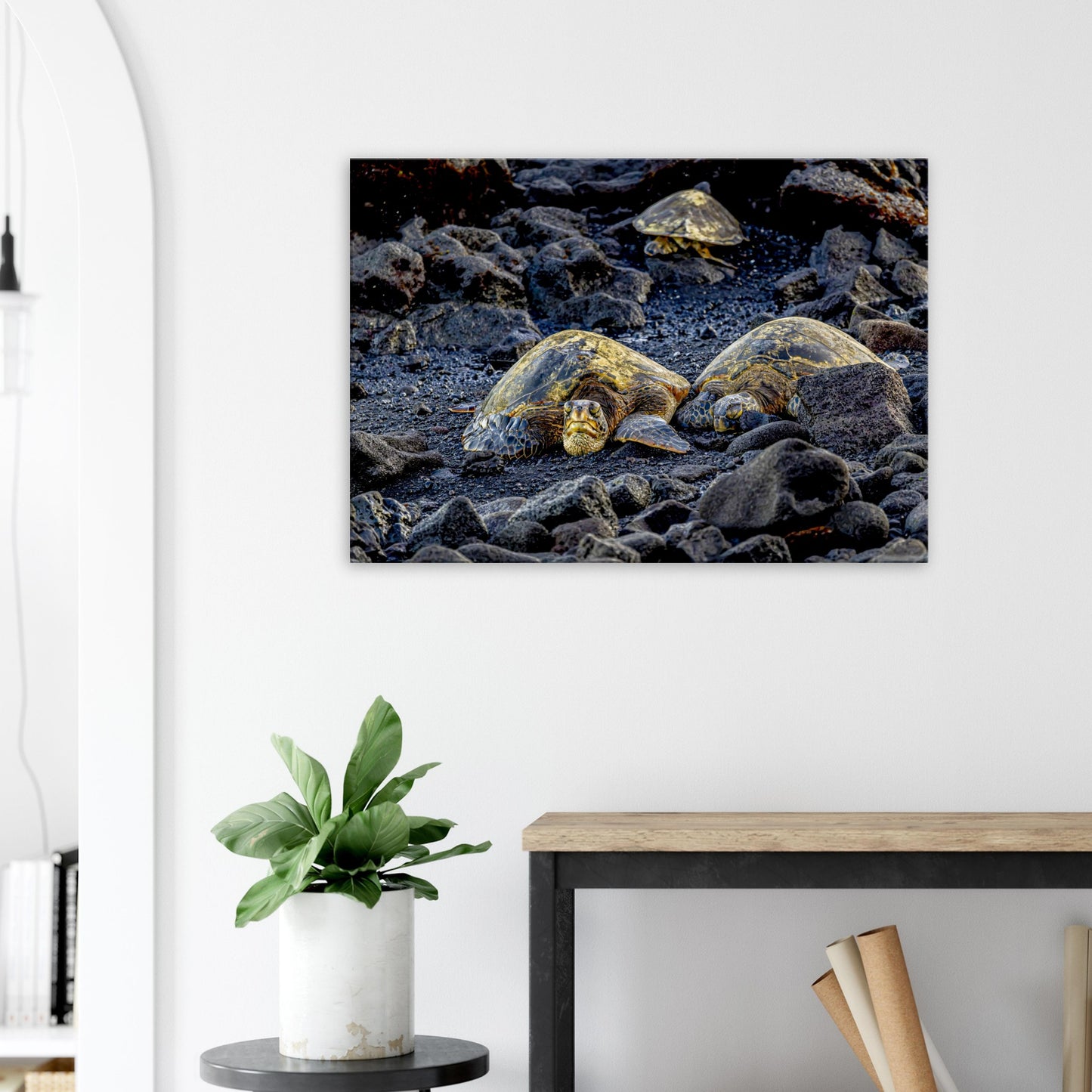 9bd56e7a-dfff-49ad-b9d8-bc9db85335d6