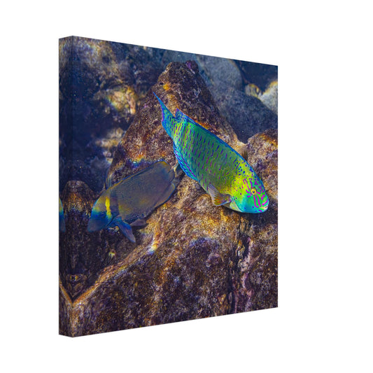 9c7f3d2d-7715-4d21-944b-3a6fa08c3ec9