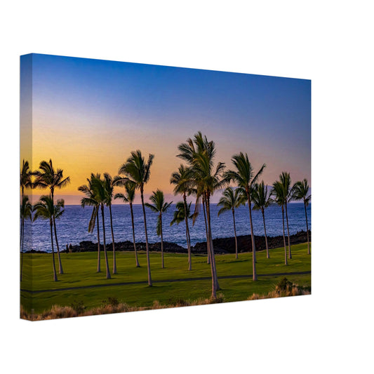 9fed61dd-04c2-47a7-bdc5-390316833417