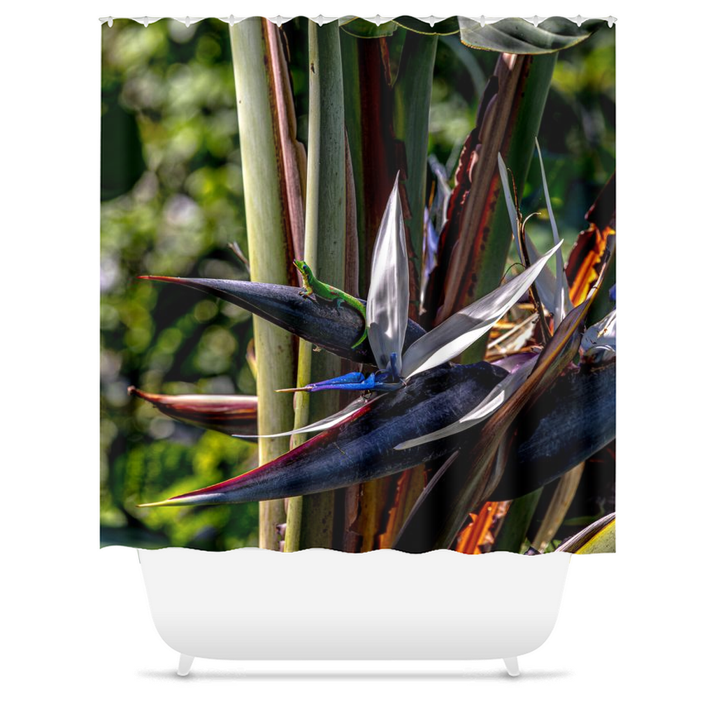 Gecko Smiling At The Sun On Bird Of Paradise Tree Shower Curtain