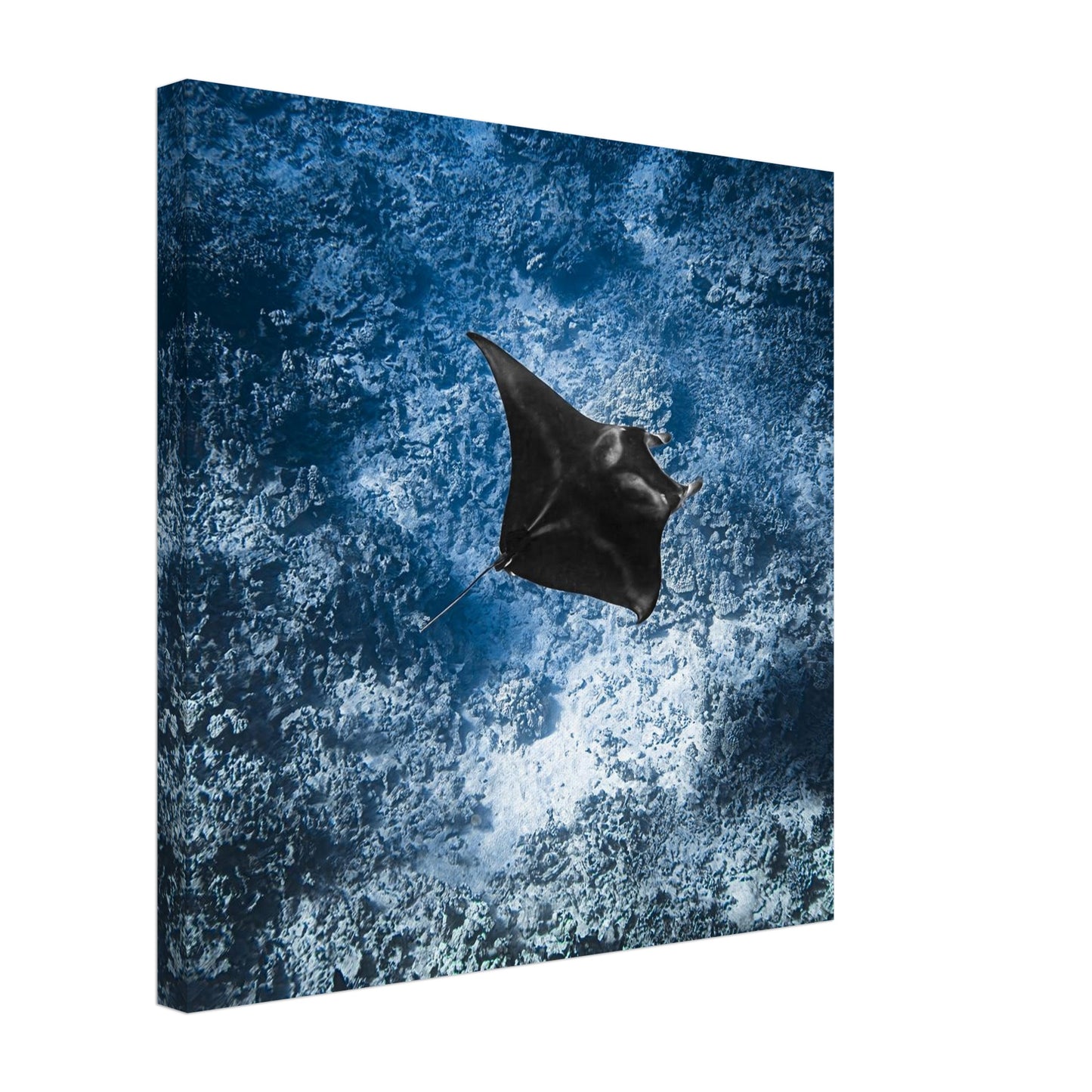 a0d1fe8a-254a-4ae7-b573-683f7e113953