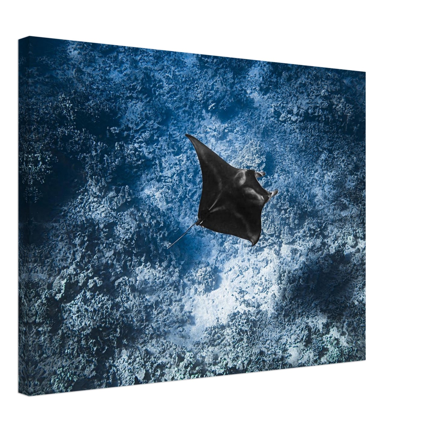 a2b1c587-2158-4ace-9559-e058cf68a494