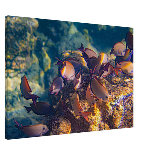 a3d15568-6f50-4438-871e-3ce64d4cff7e