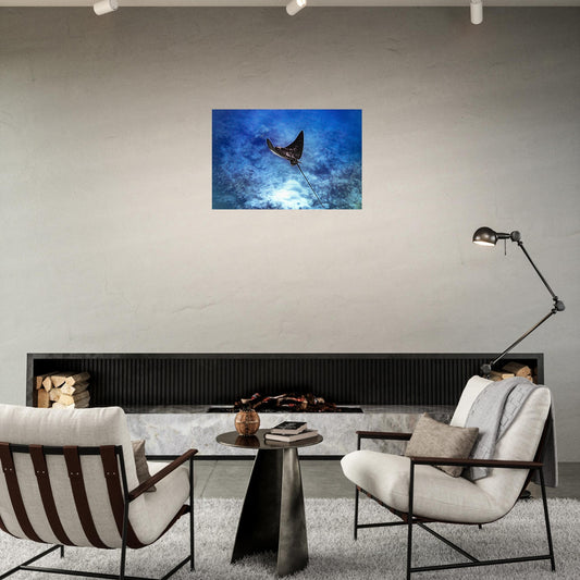 a5331ef0-aeb3-459f-815f-1928389efed9