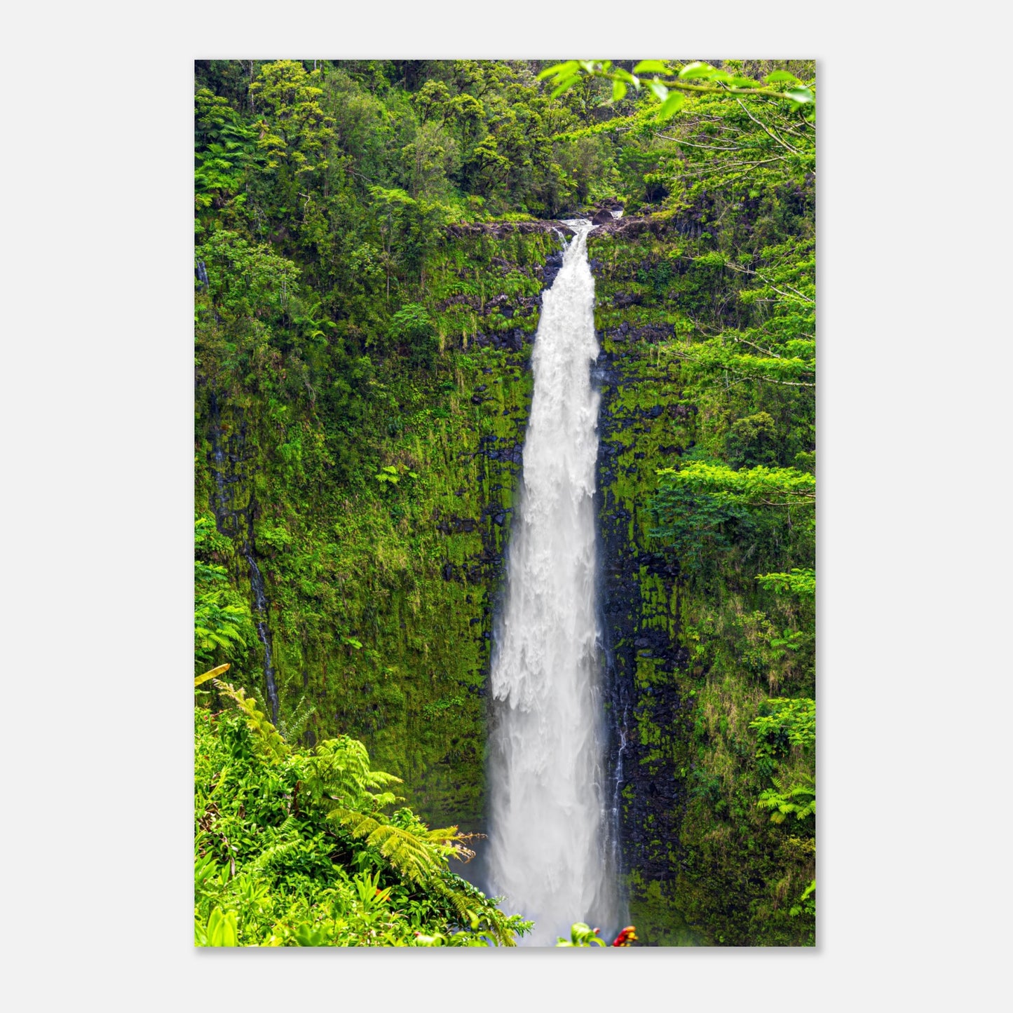 a549627d-7105-4f34-92df-c0217746c953