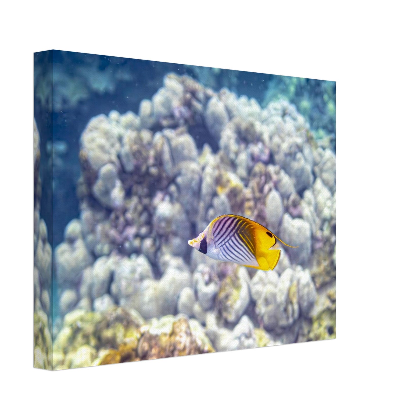 a708329c-711b-4060-baaa-6477822114da