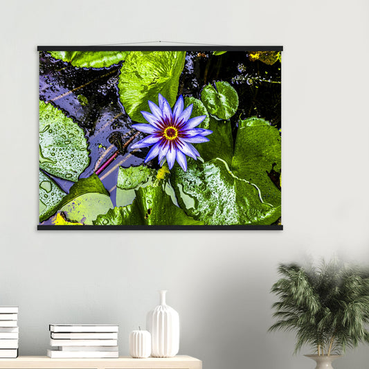 a7e65e4c-a524-4106-9624-bb05448115b8