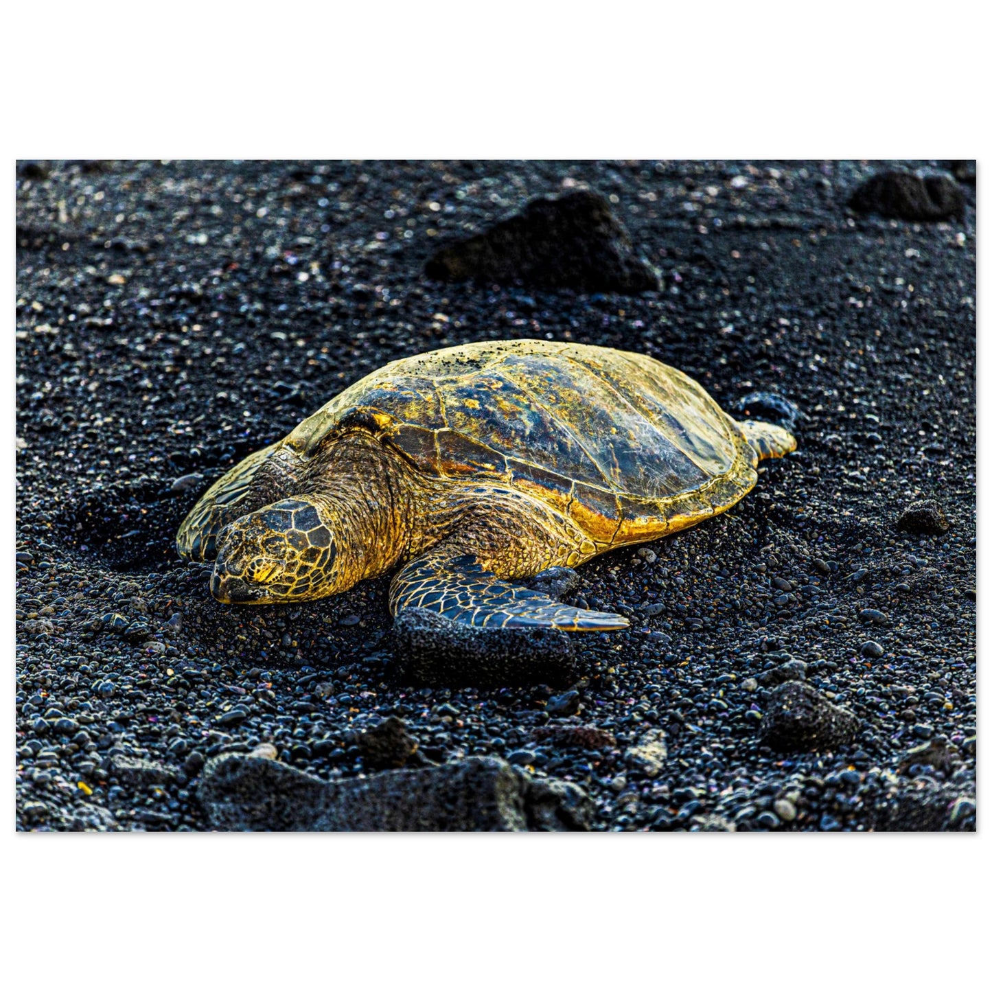 a836d1e8-fd78-435c-b50d-8da05971664f