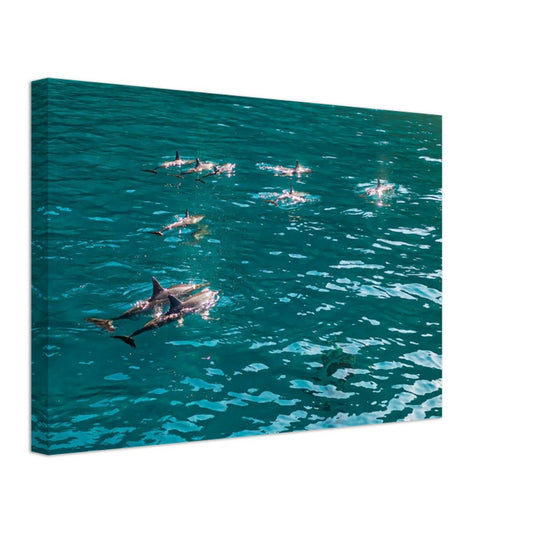 a8eb4e64-94c7-46df-8228-2a00d5bc2a71