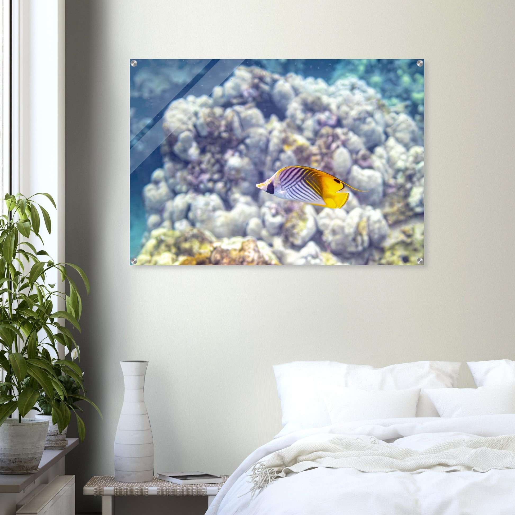 ac057816-a17b-461b-b2ca-9931971f50dc