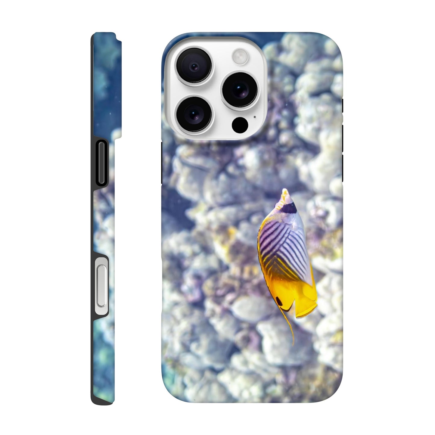 ac728d0c-a929-45e4-822a-5f3f7e3e2469