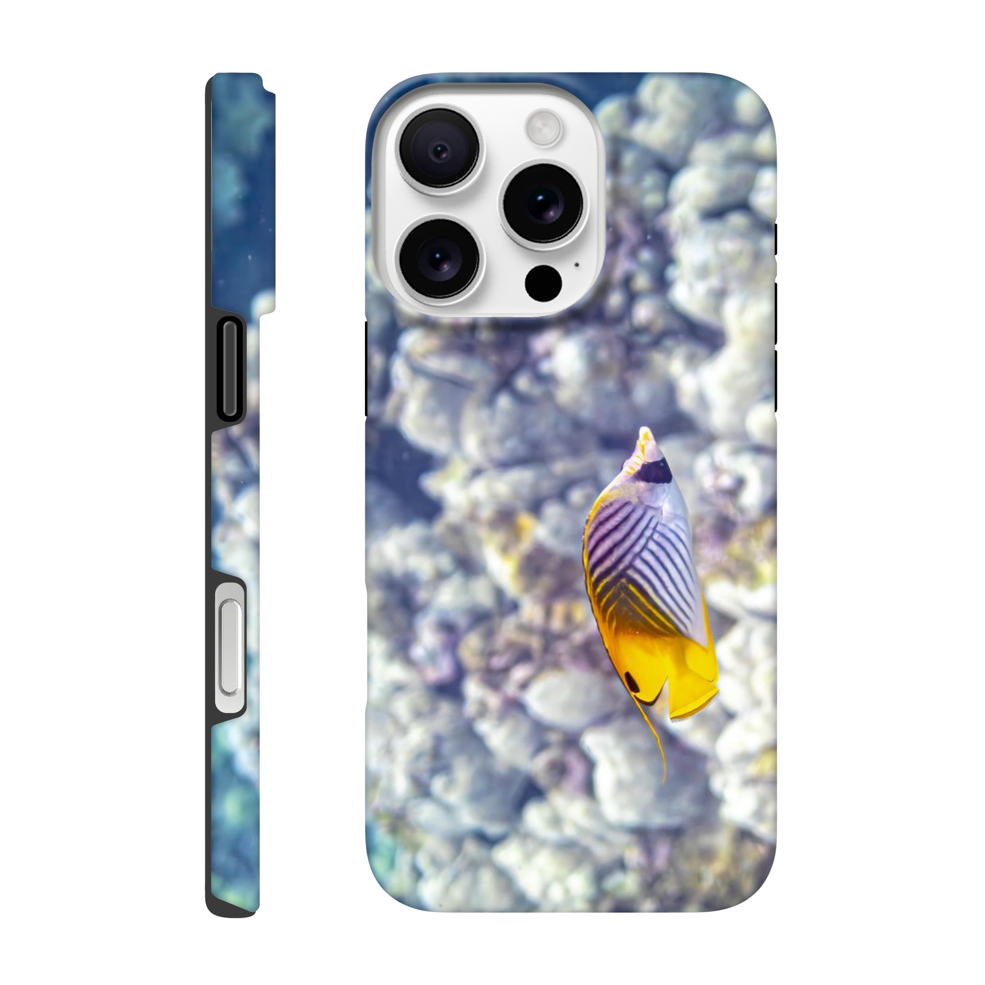 ac728d0c-a929-45e4-822a-5f3f7e3e2469