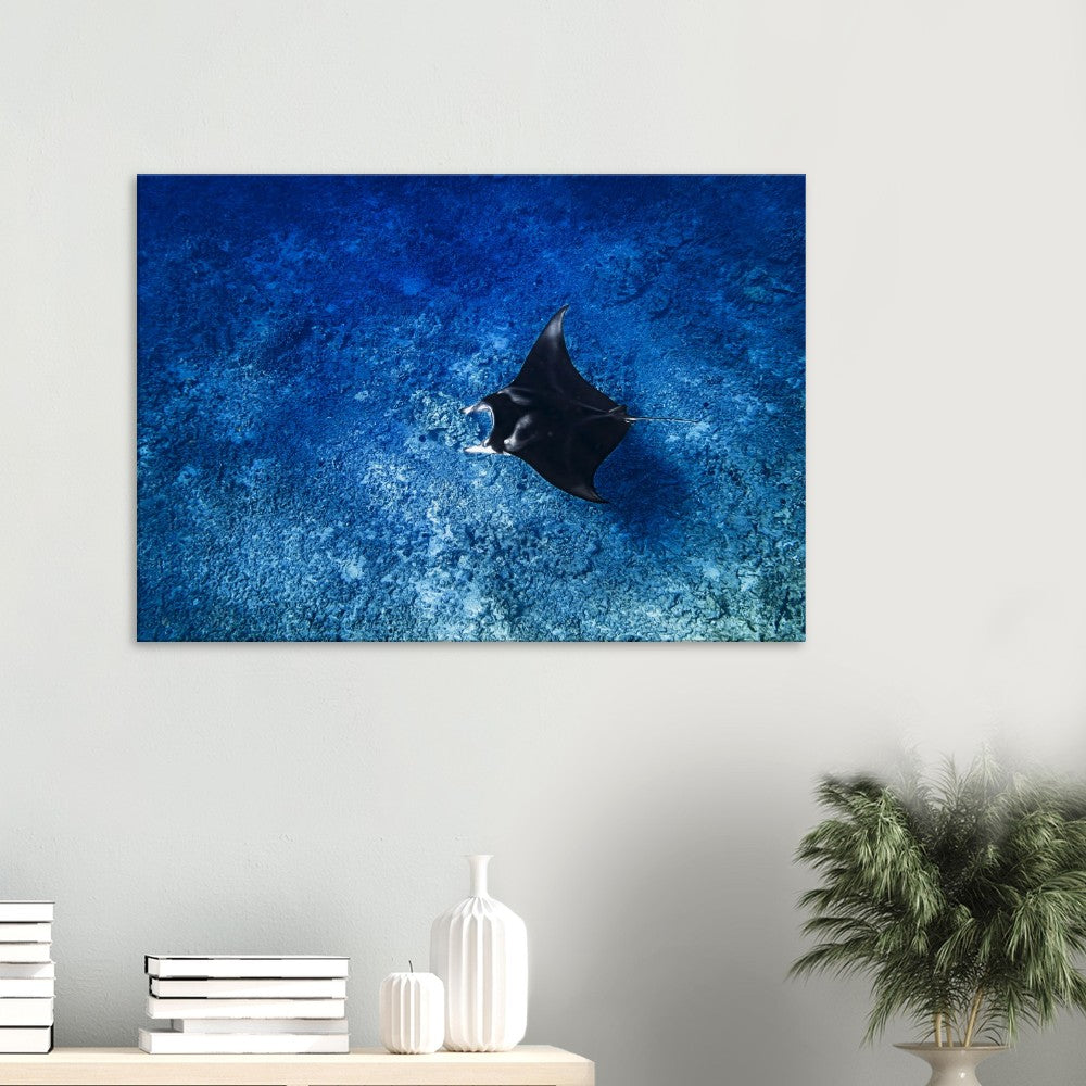 ad95e6fc-9f17-46f5-88f9-067a9d105d09