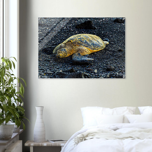 adf0d067-af33-416d-99a1-551aa488158e