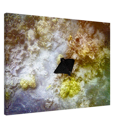 aedd5154-3806-45b0-a53a-26be62d502de