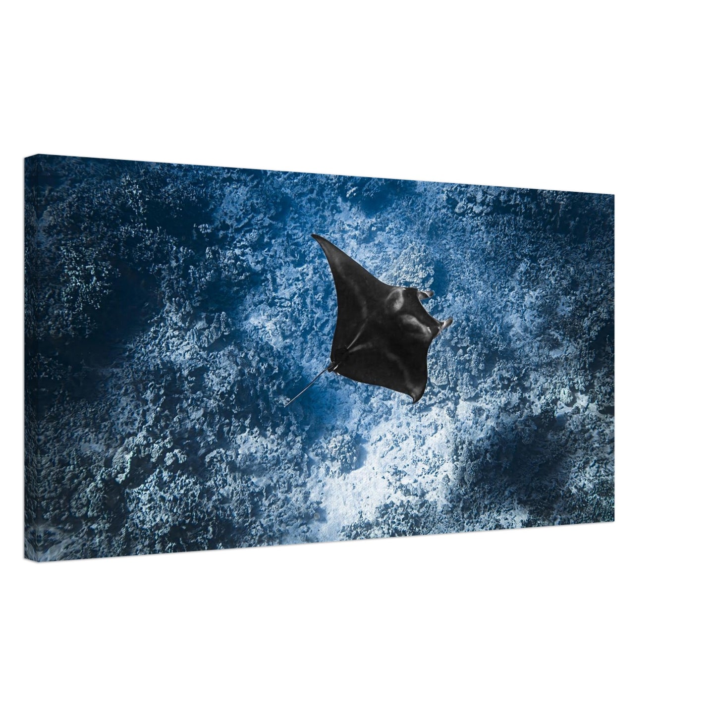 b0250a2d-e820-48ad-a4b0-c78bf19ce50d