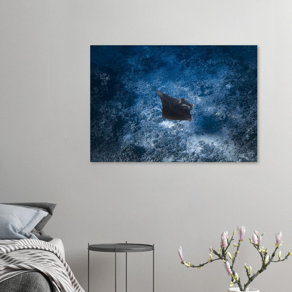 b10cd009-afa8-4f4e-894b-fae3bf231472