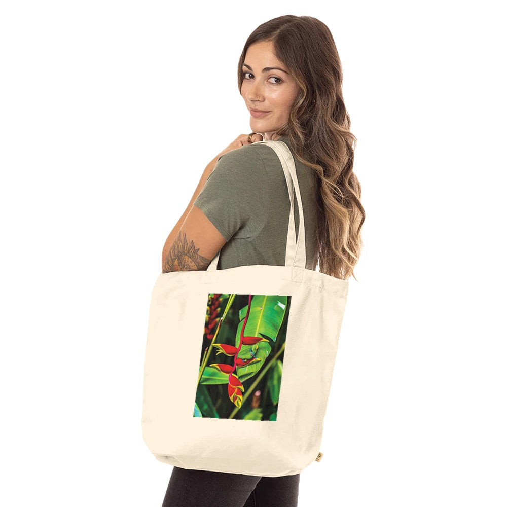 b2e08d75-20d9-495c-993b-d54bcf4d71cb