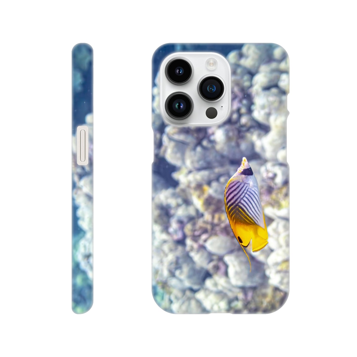 b41761ea-f7a3-452a-aab6-e80dabdda537