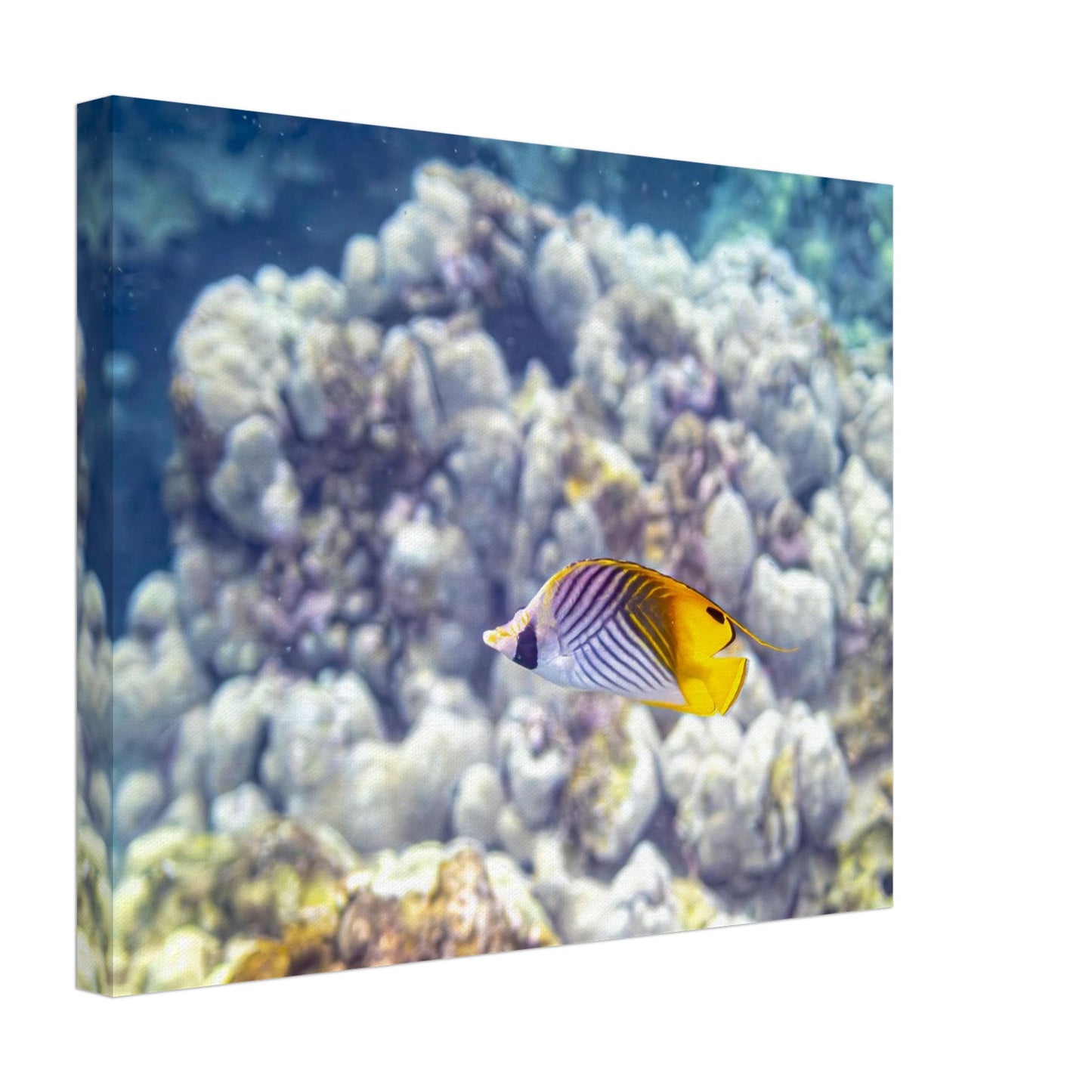 b5240d38-edc9-4b1a-b575-3e63cc9c4f49