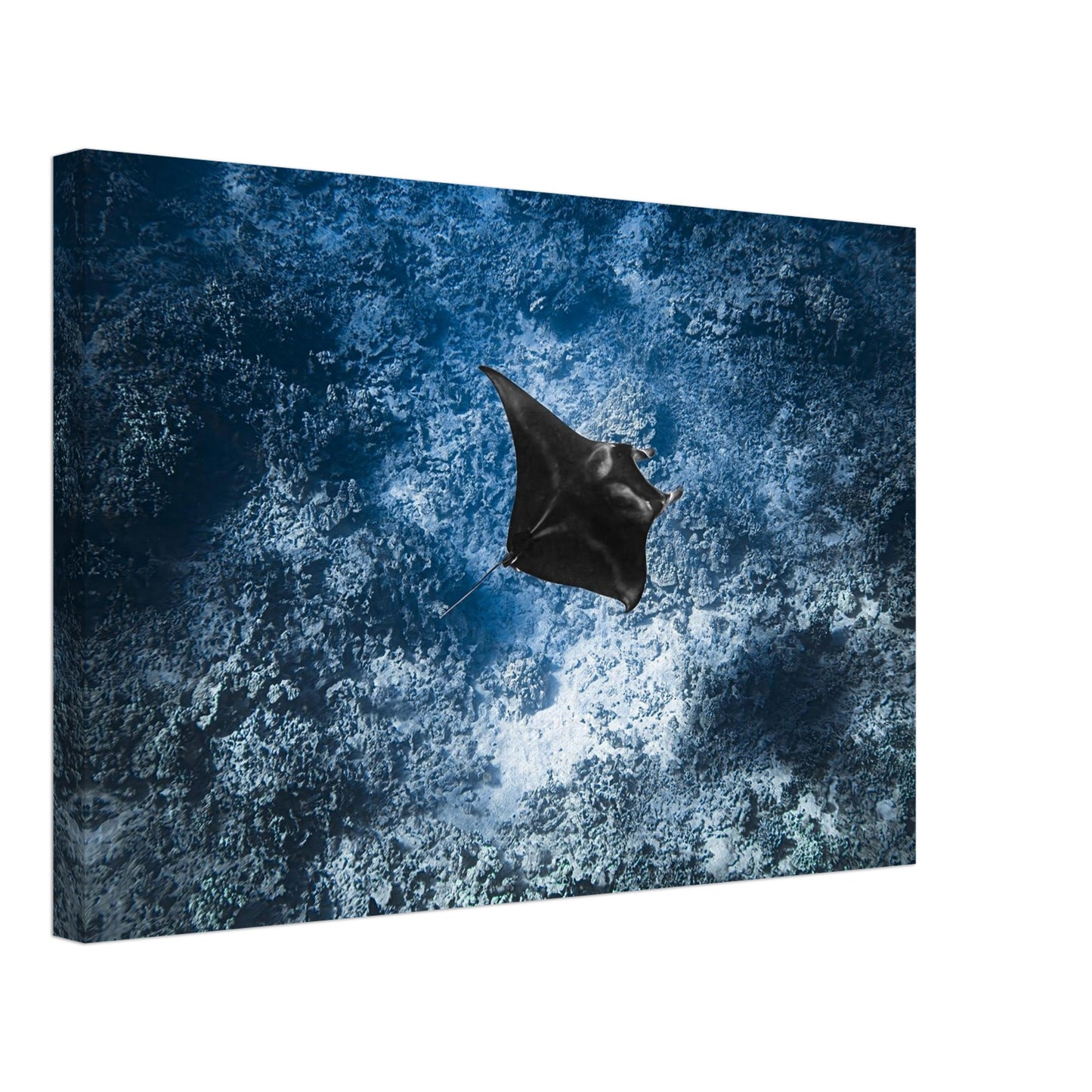 b5d30f2b-816d-430d-b8db-8bd472dfab5e