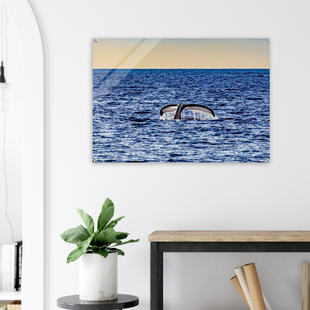 b720bd41-787f-4c2c-950c-270d521e8eb0