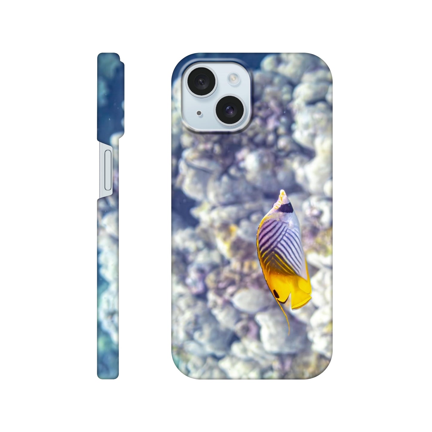 b7b3a97a-89c0-4437-90a0-db5e9f08c53c