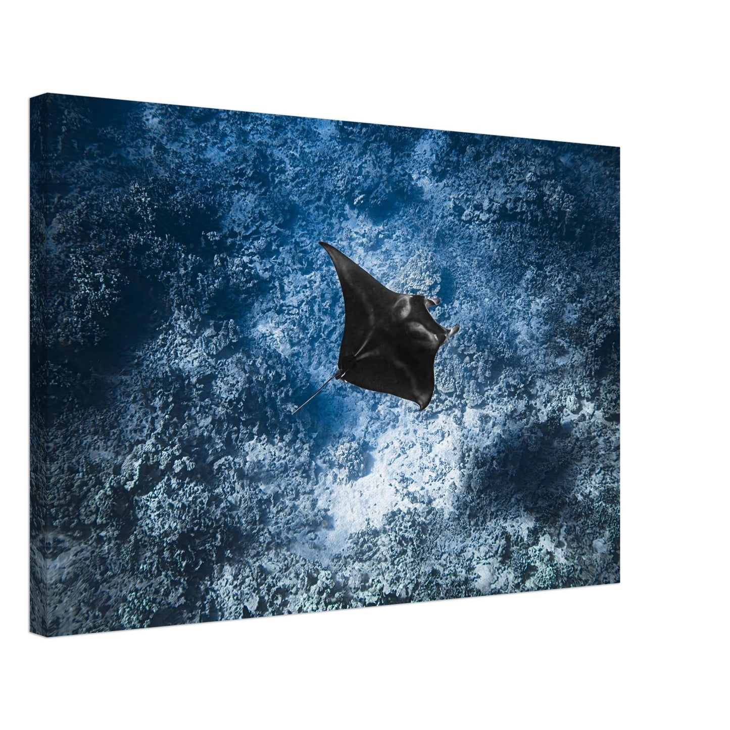 b849d0c7-2c1c-4f27-b1c0-62ed1190012a