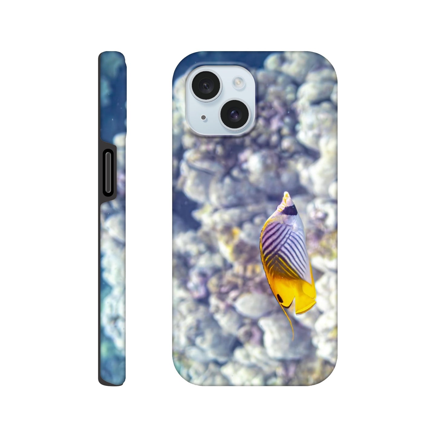 bc3d584f-5ec0-4788-ae57-4361fd906b8f