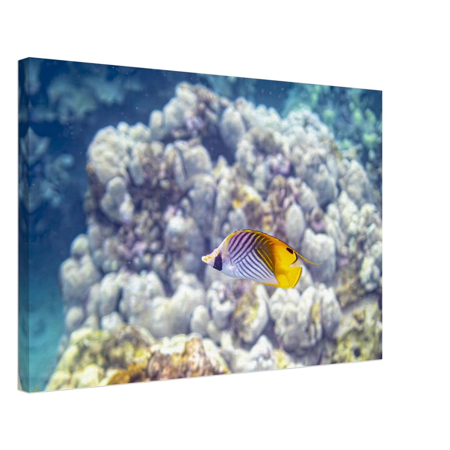 be7ef775-df7d-4552-92e7-db20cc3cbd73