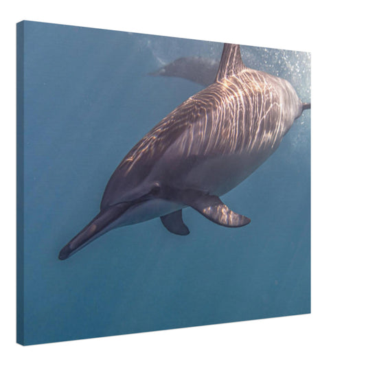 befd0229-271f-4661-8d17-a567a1b07fc0