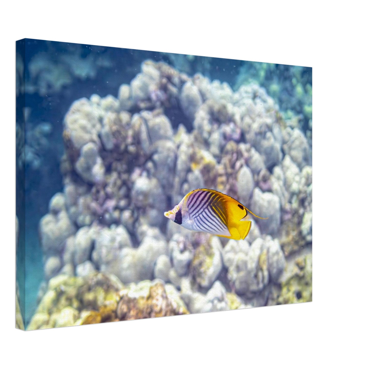 bfd20f2f-844d-4920-b2c3-9341733be5ee