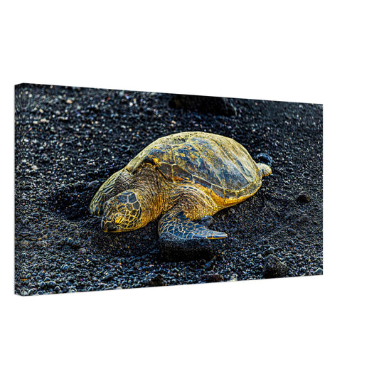 c23a650e-94eb-481a-b464-1952ac30e8e4