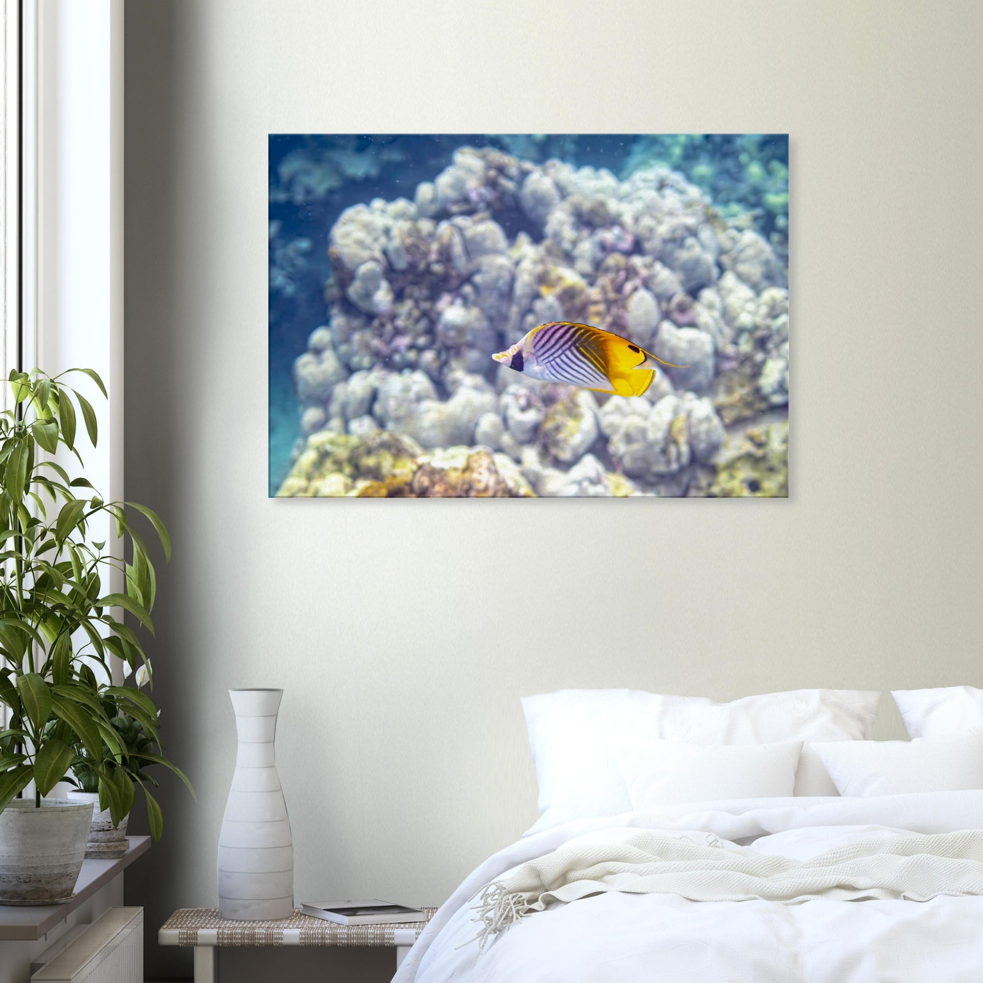 c36cf51e-ae9f-499c-a1f8-18d2a86aade5