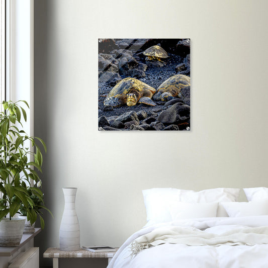 c540b6b8-6ec4-48d1-a61e-9abf29c0a7ae