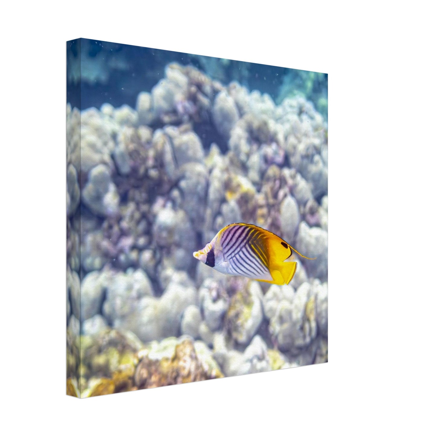 c54b0d08-7a26-4c65-858f-f1e8bc27d487