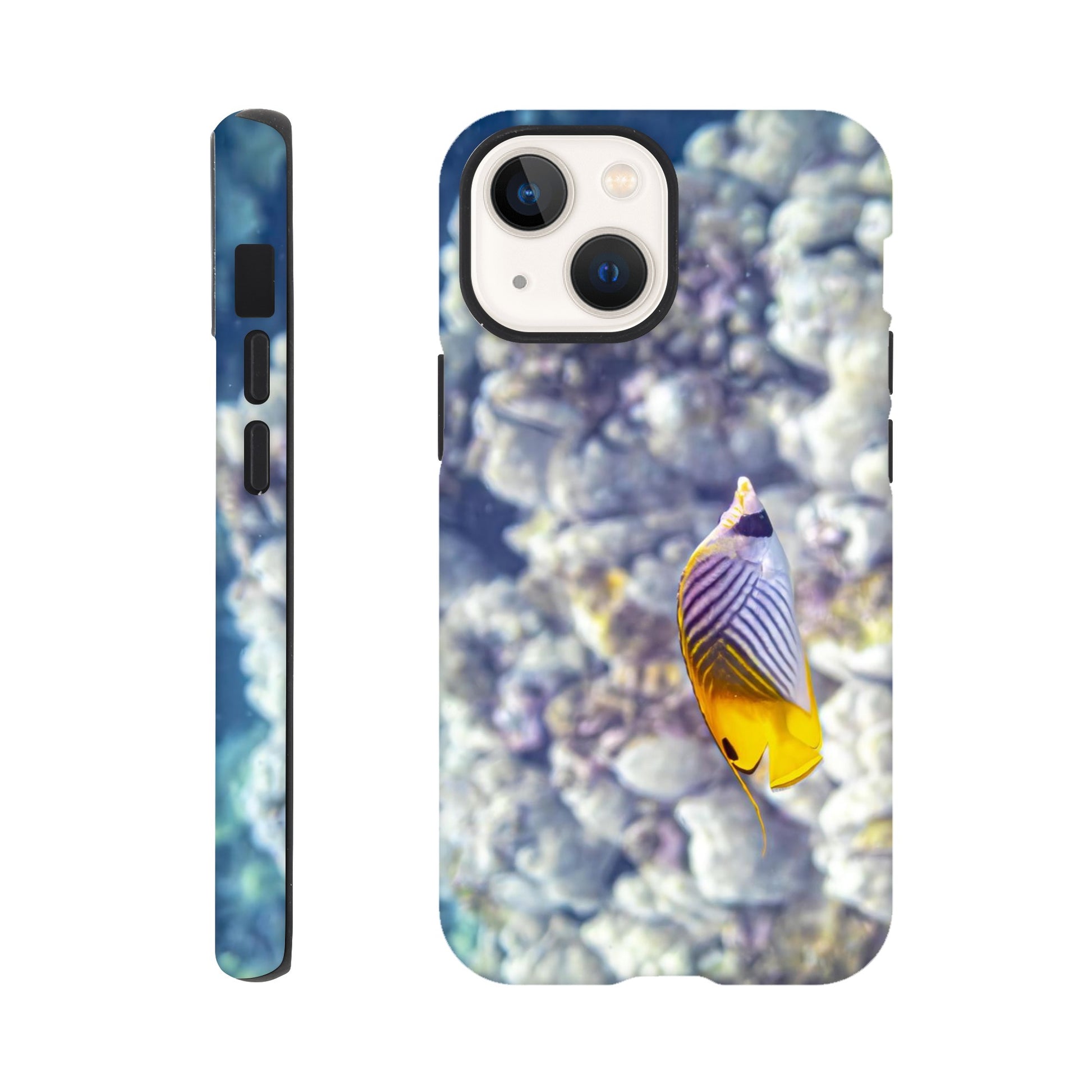 c58ad1f1-968e-4d33-a8e5-7118334e72a6