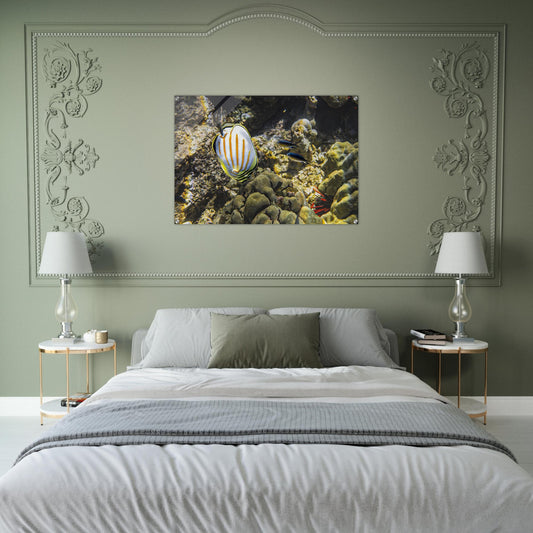 ca08a5c7-a7d6-458f-b62f-8deacd042255