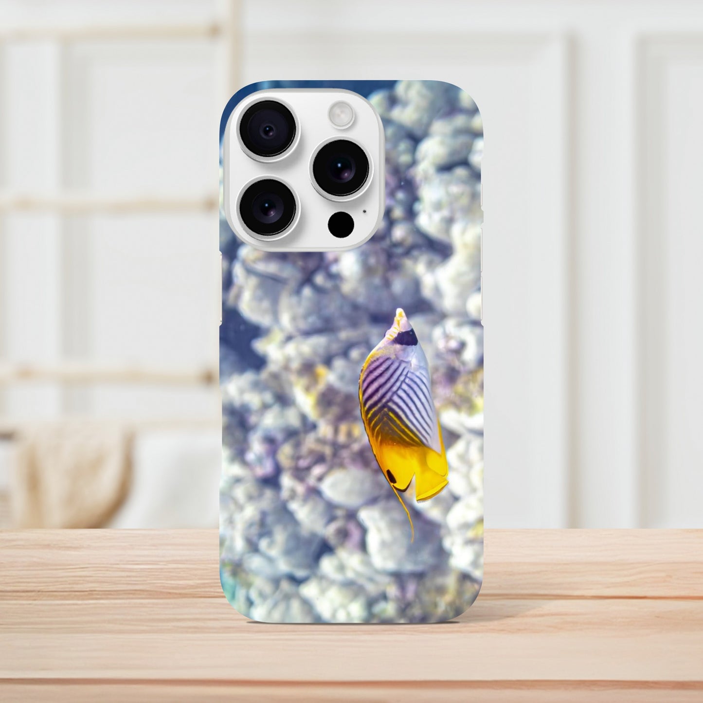 cca7edf4-b6a4-443f-87f8-faf8643d4b91