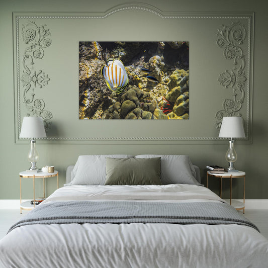 cd3d4dec-bac2-4d57-a94b-643c8716a648