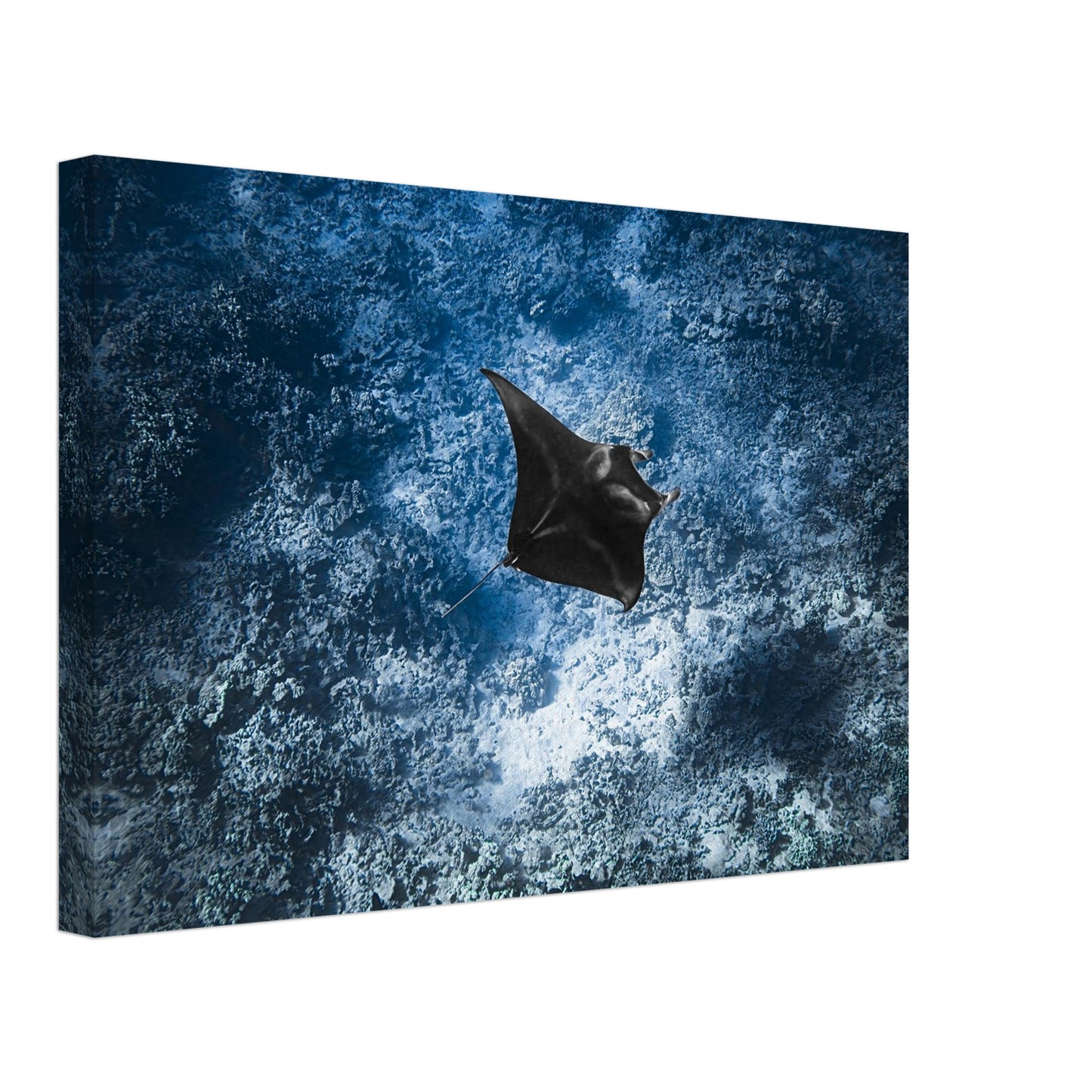 ce0961a9-9989-4592-9a25-be8132d6cb37